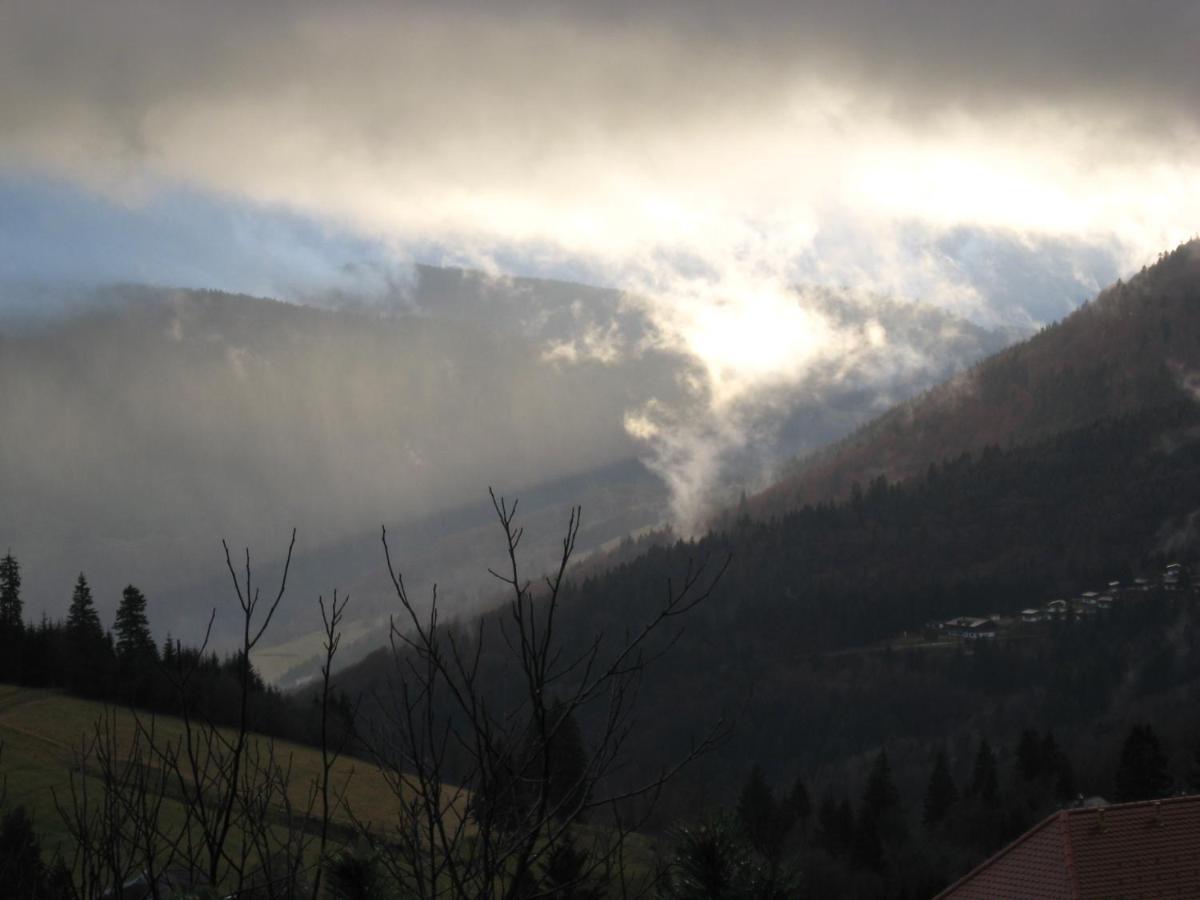 Schoene Aussicht Тодтнау Экстерьер фото